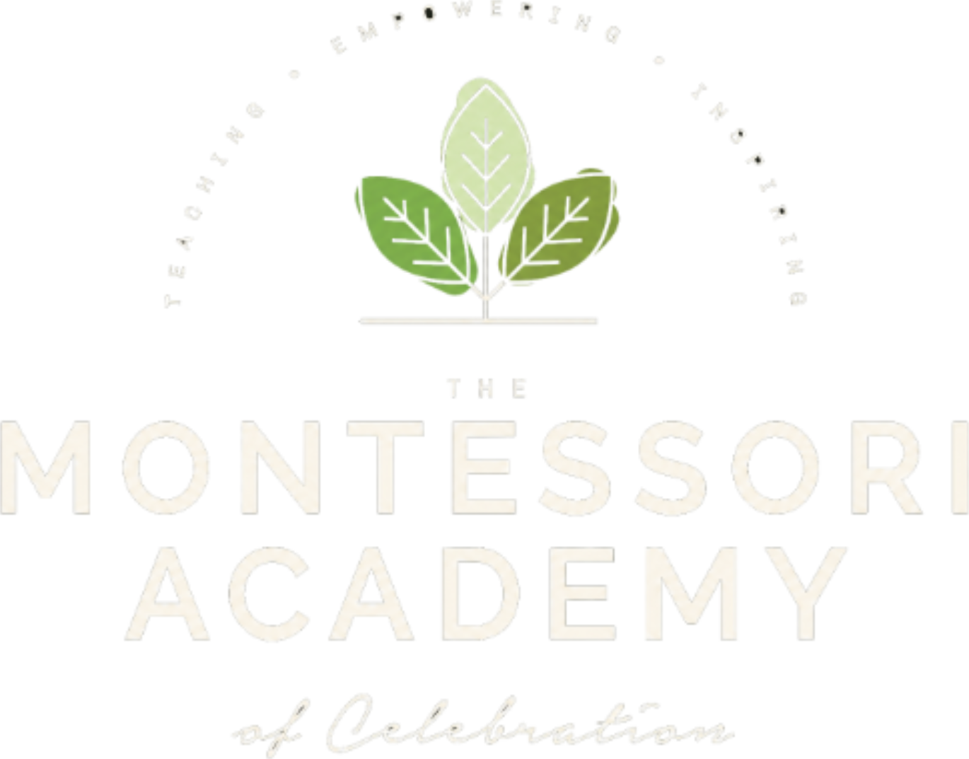 The Montessori Academy of Celebration