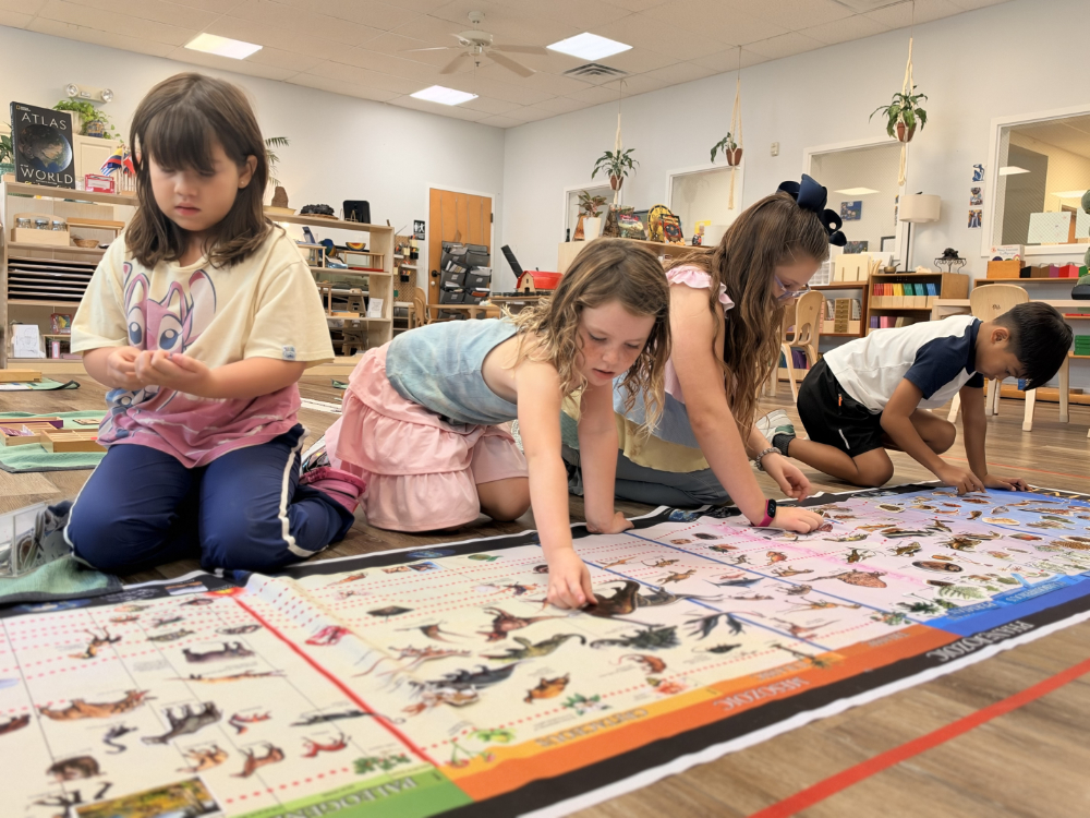 Child working independently in a Montessori classroom