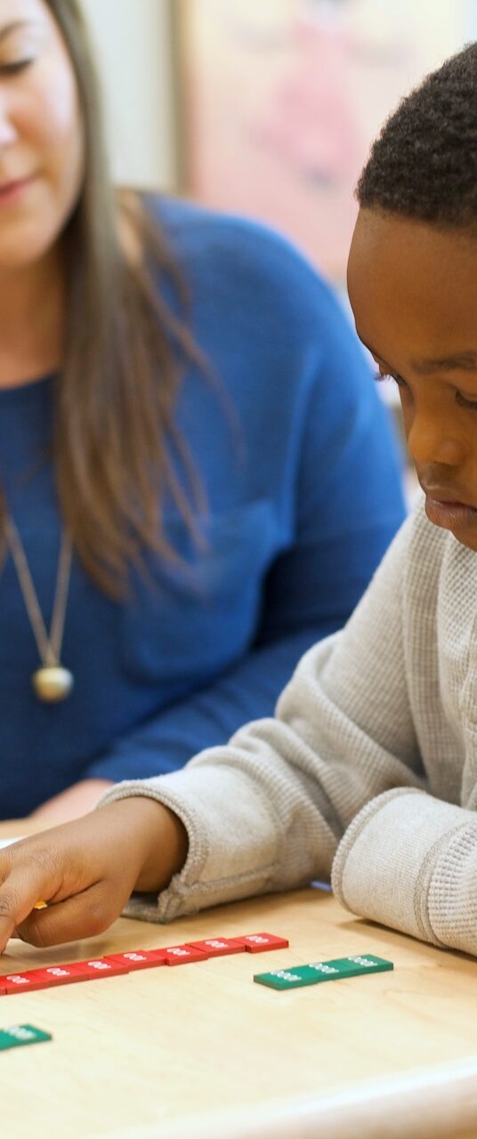 Roles & Goals: The Montessori Guide