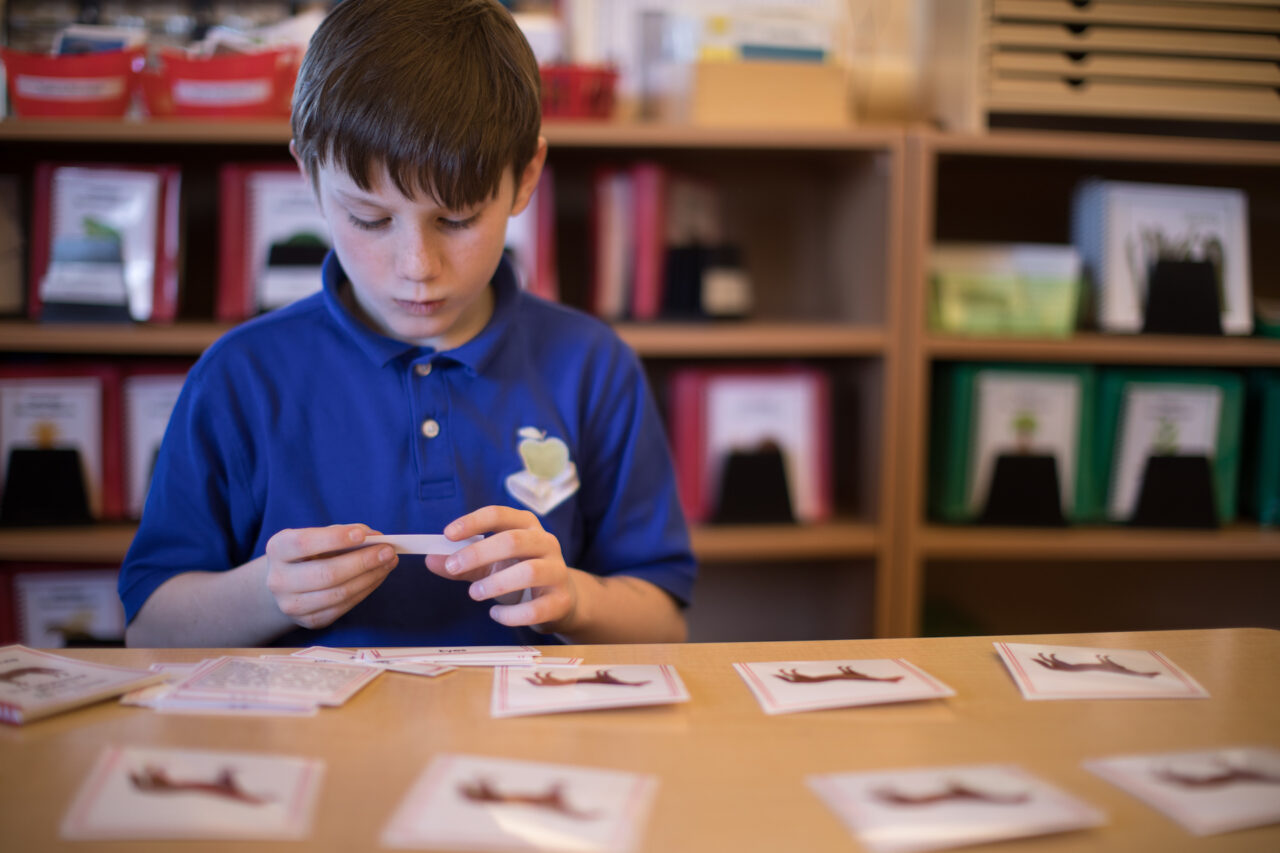 Memory, Learning, and Montessori